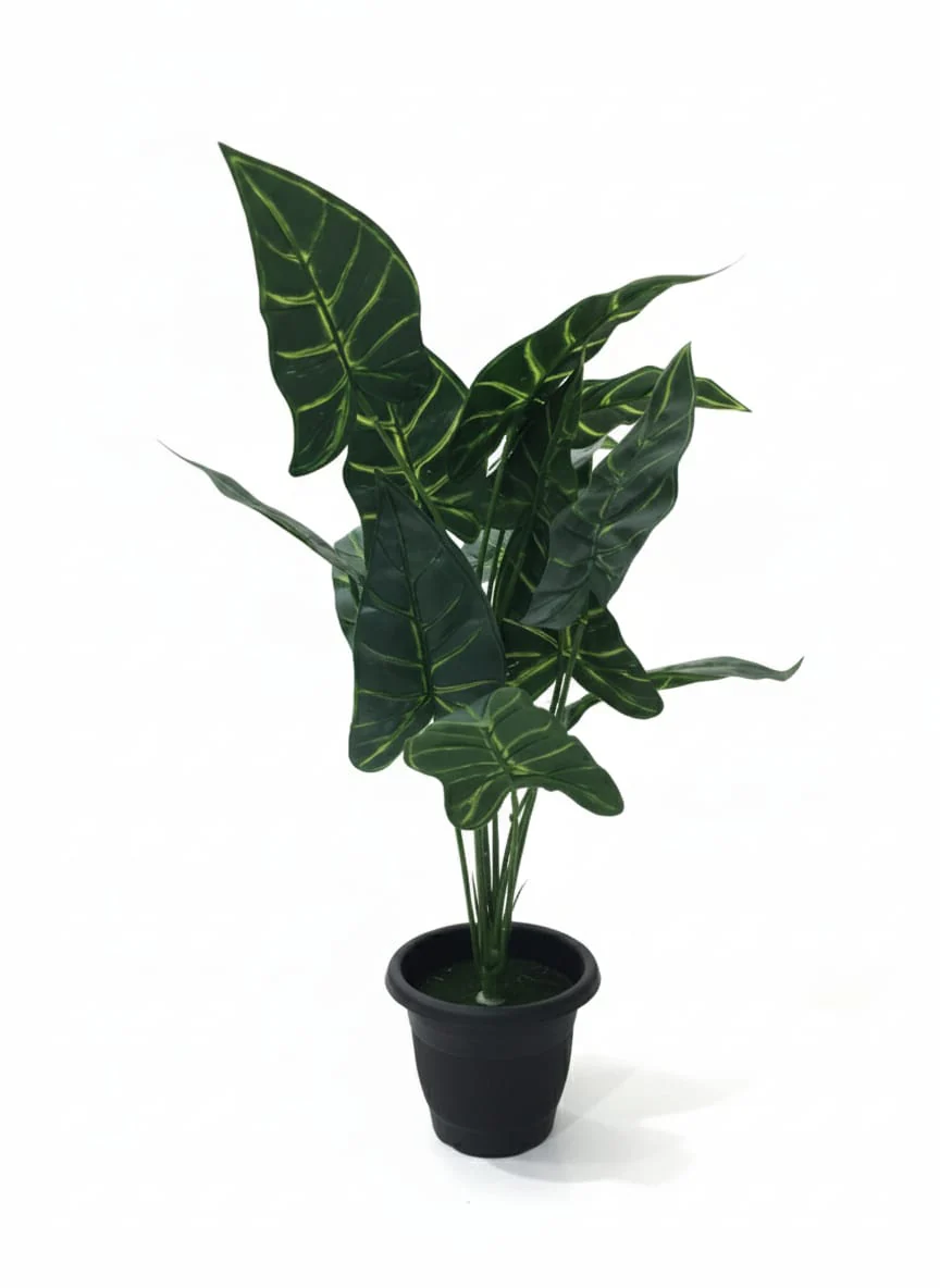 AKDC Artificial Alocasia Potted Plant - Realistic Plastic Leaves in a Sturdy Plastic Pot, No Watering Needed, 54 cm Height,"- Features plastic leaves that authentically mimic the bold, arrow-shaped foliage of real alocasia.