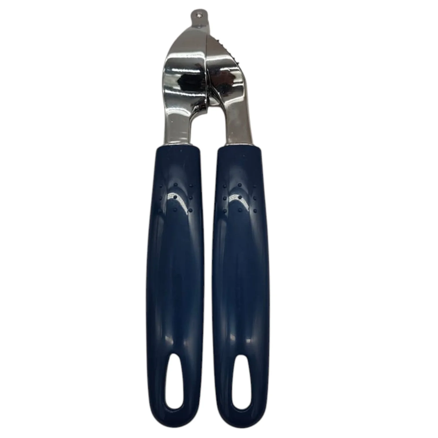 AKDC Stainless Steel Garlic Press, Heavy-Duty Garlic Squeezing Tool Effortless Garlic Crusher-20cm-Blue&Steel