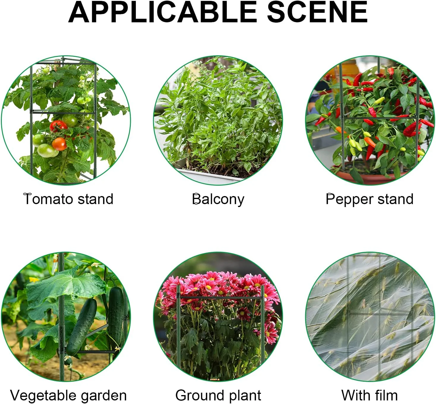 Colorfulyard Plant Support Sticks 95cm, for Climbing Plants, Support Flowers- Green - Image 2