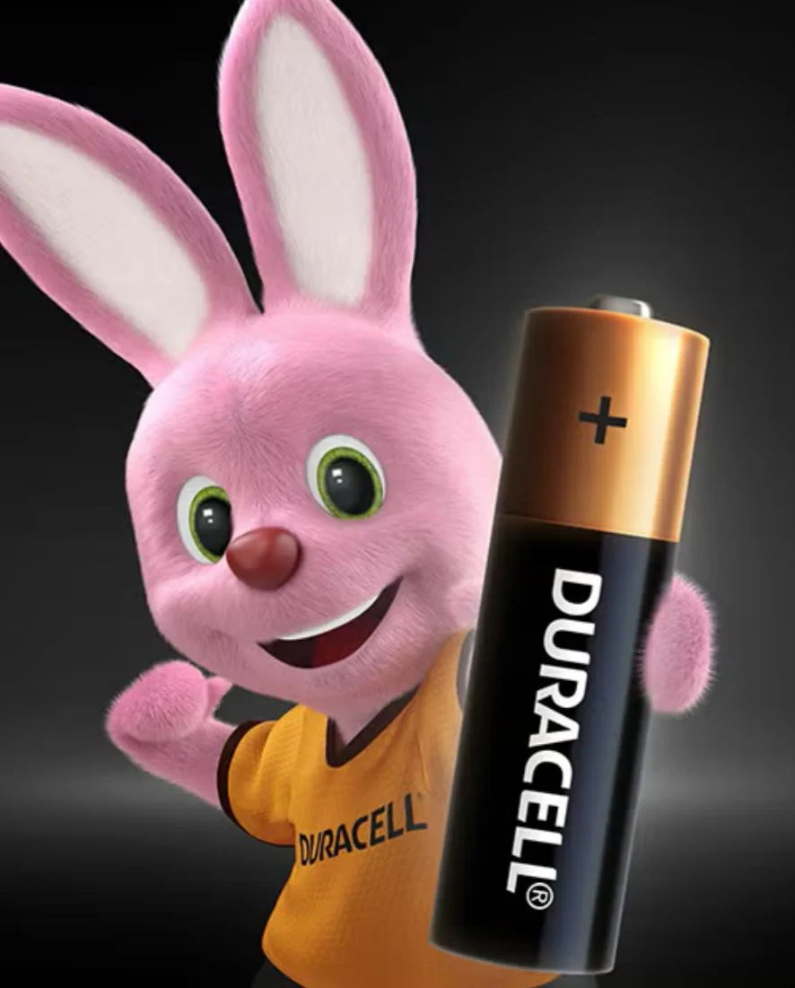 DURACELL AAA Alkaline Batteries 1.5V, Pack of 2 - Image 2