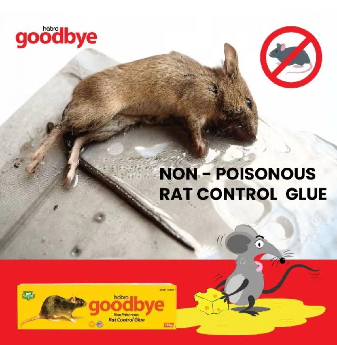 Dutch & Habro Goodbye Rat Control Glue (135g) - Image 4
