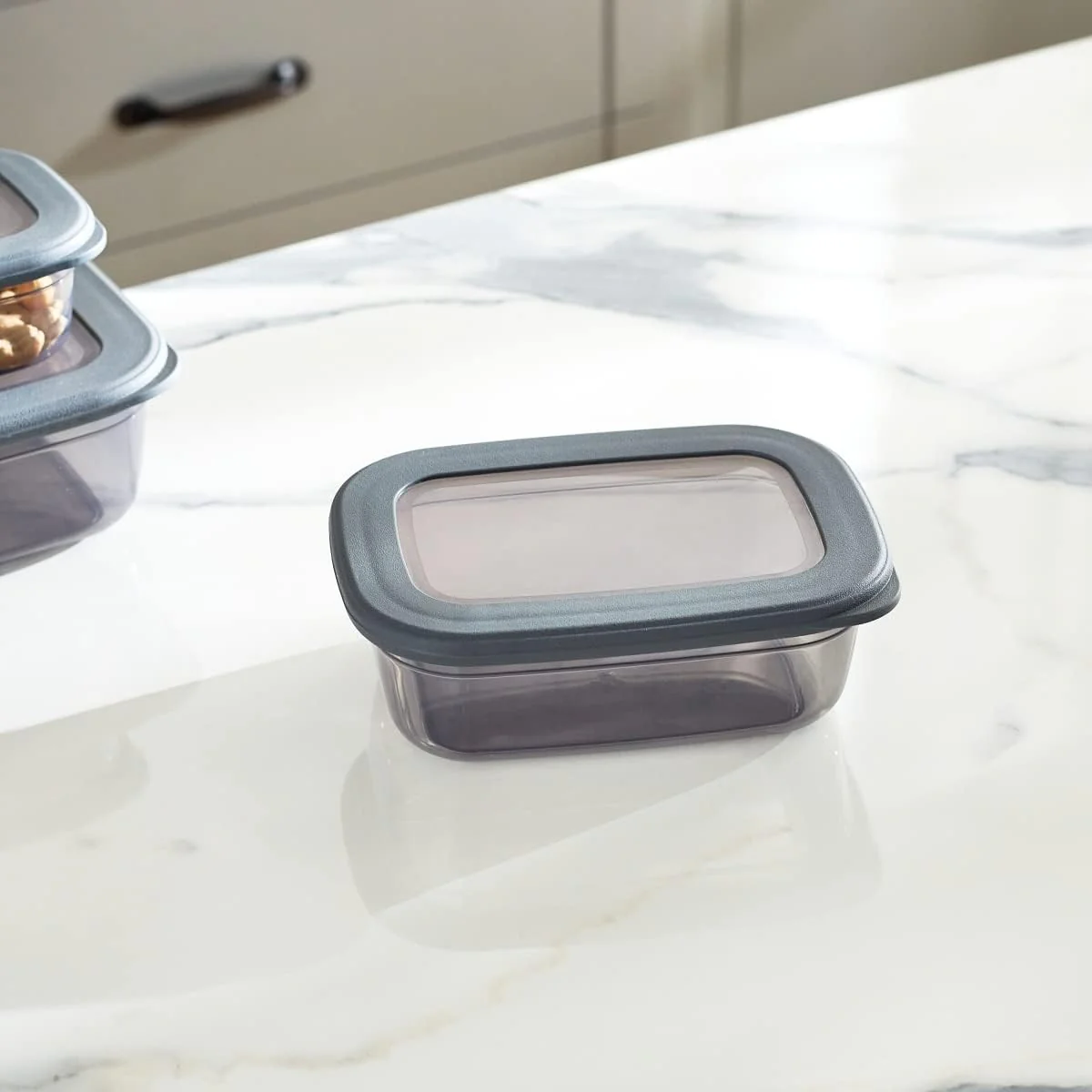FOLY LIFE Flat Food Container 670ml Transparent Gray | Compact BPA Free Storage Box