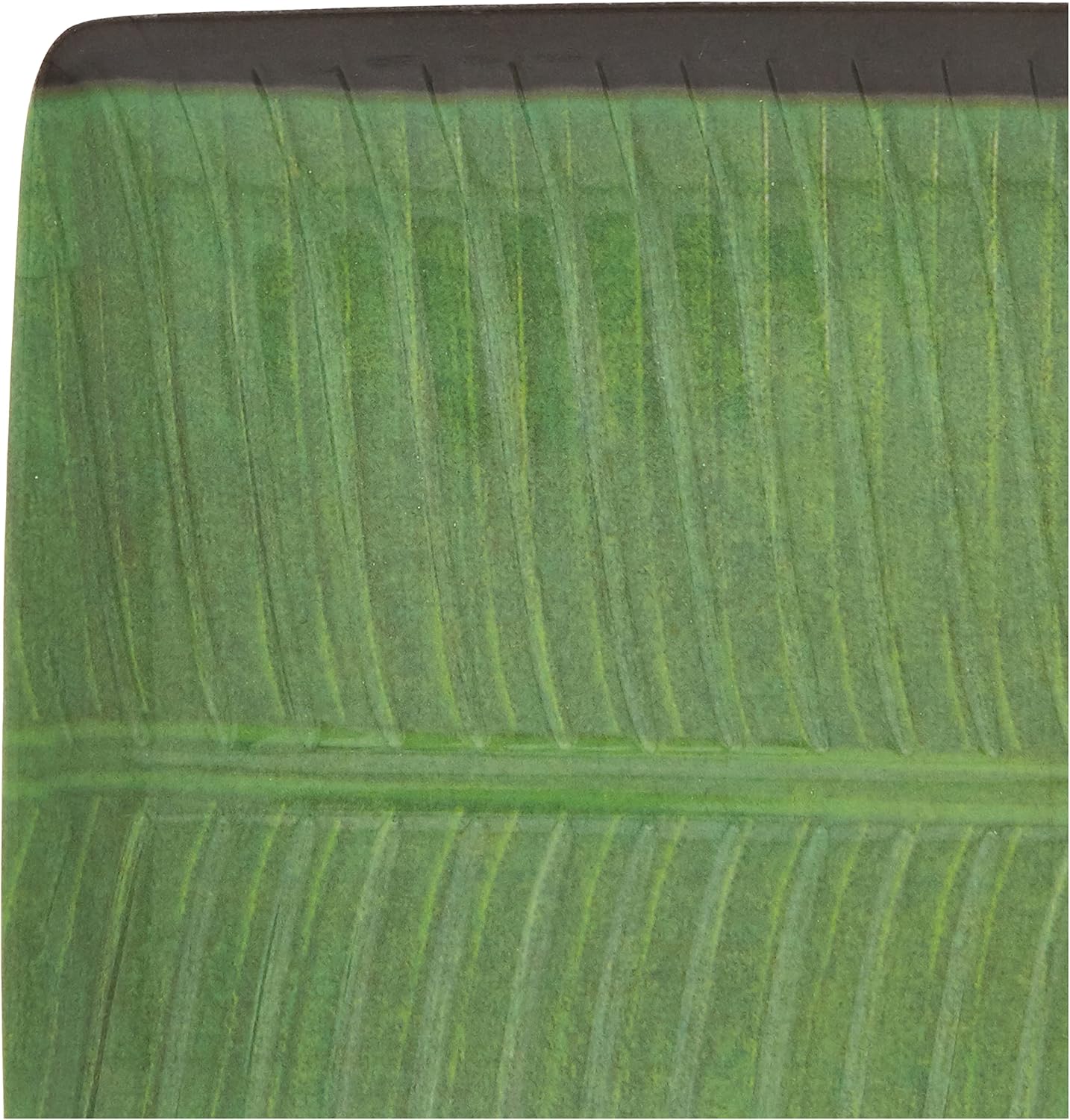 Harmony J136 Melamine Horeca Banana Leaf Medium Plate Green - Image 2