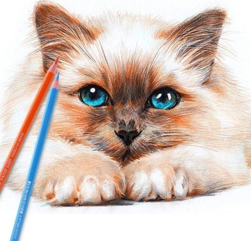 Hong Wei 24pcs Color Pencils, Advanced Color Hexagon Pencil, HW-CP-2401GA - Image 4