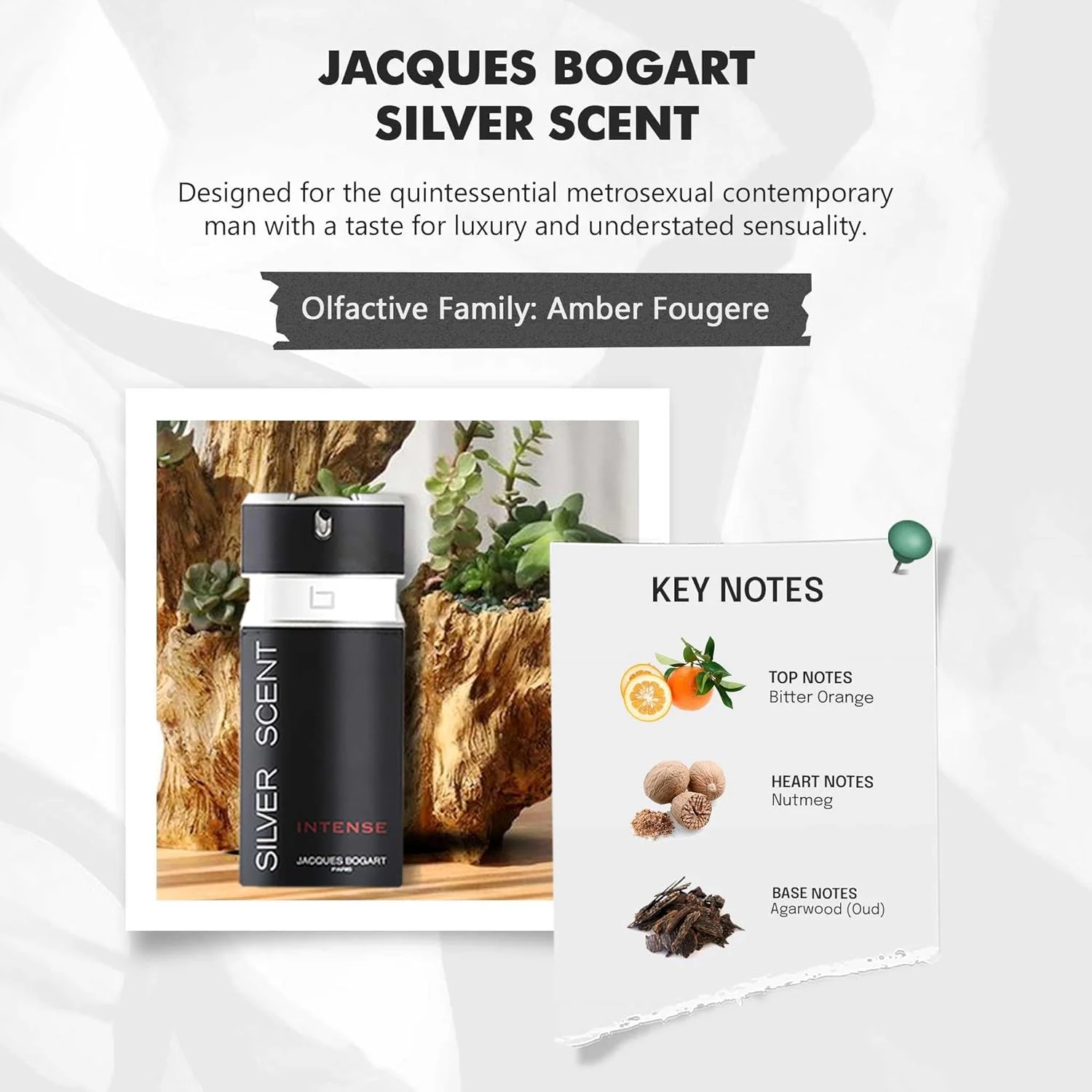 Jacques Bogart Silver Scent Intense Eau de Toilette for Men 100ml – Strong Spicy Amber Signature Fragrance - Image 3
