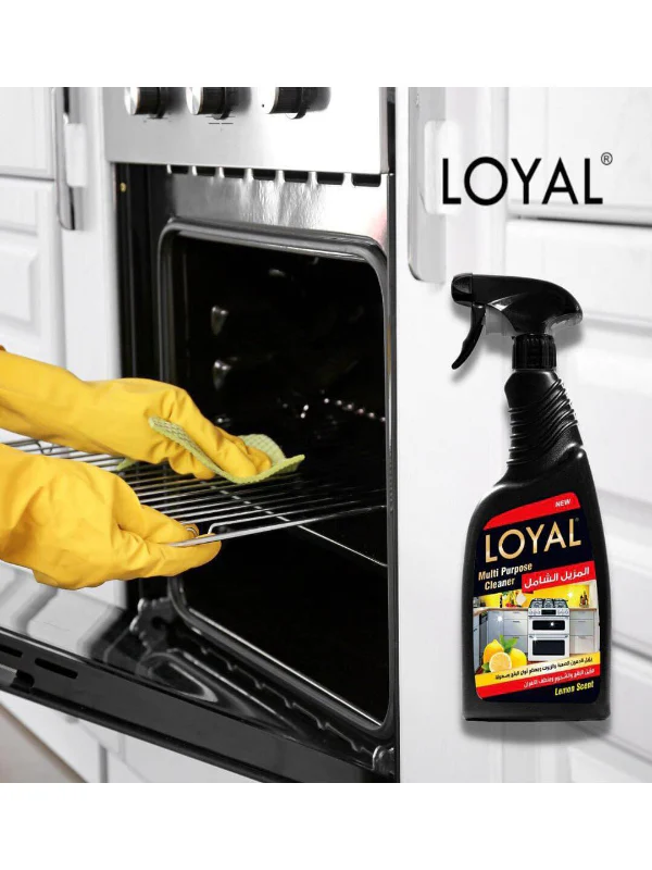 Loyal Multi-Purpose Cleaner 750ml, Lemon Scent - Image 2