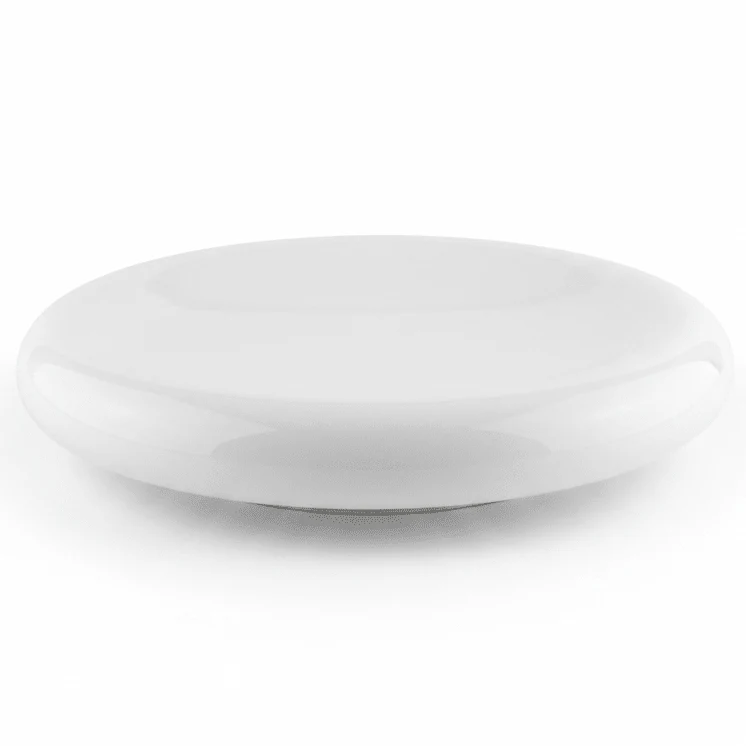 Luhpar White Round Ceramic Plate for Dinner and Serving 10.5 inch
