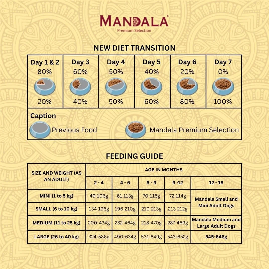 Mandala Premium Dry Dog Food, Beef & Chicken Recipe, All Breeds Puppies Dogs, 1kg - Image 5
