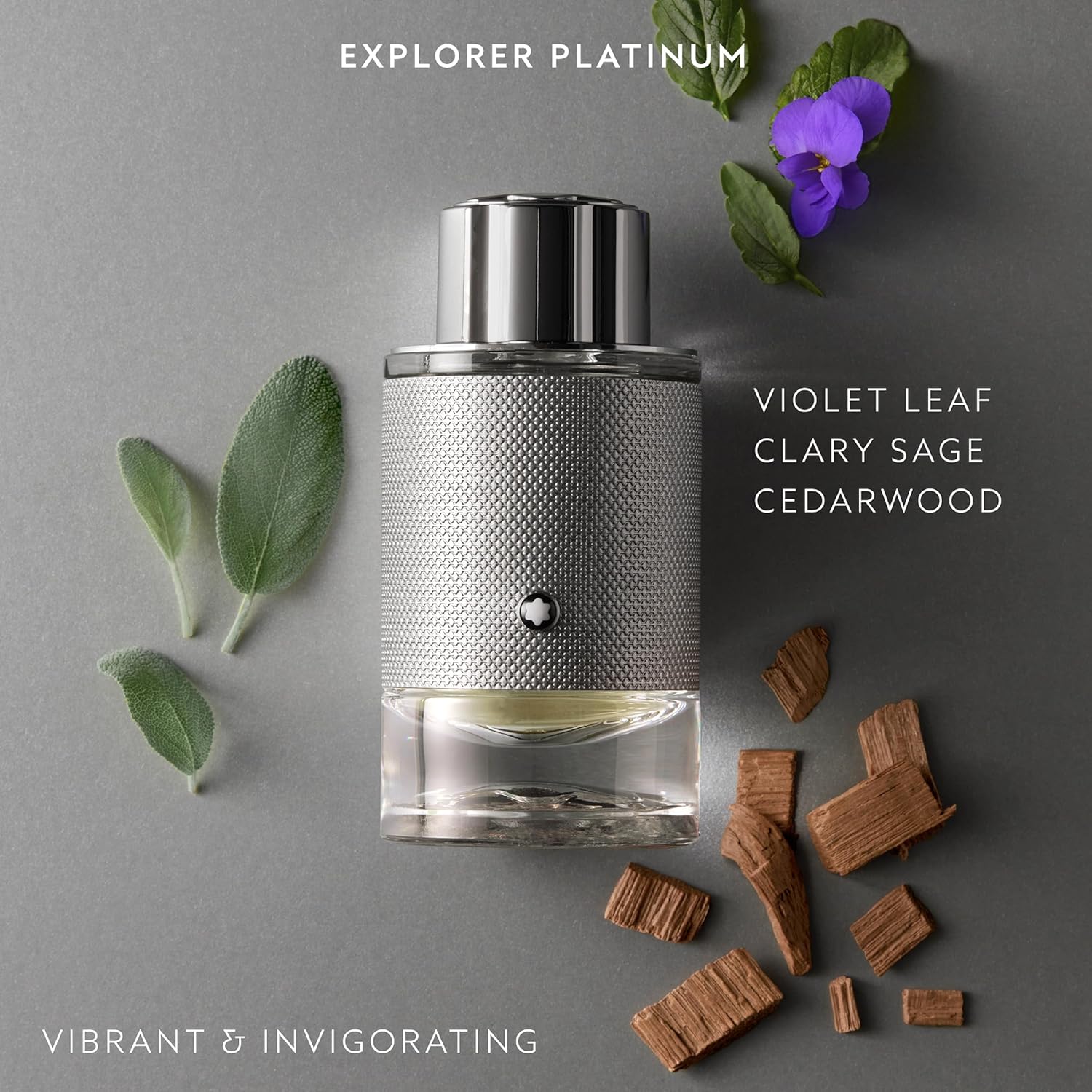 MONTBLANC EXPLORER EDP 100ML PLAT - Image 3
