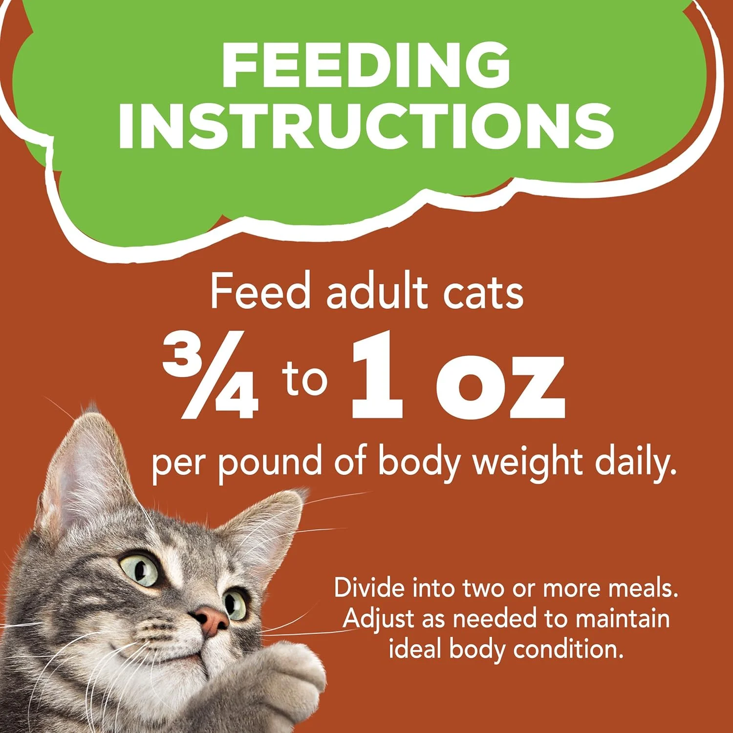 Purina Friskies Mixed Grill Pate Cat Wet Food 156g - Image 5
