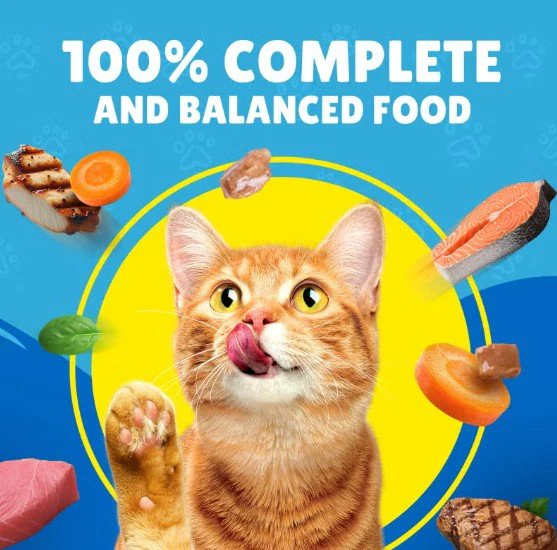 Purina Friskies Salmon, Tuna & Vegetables in Gravy Cat Wet Food 400g - Image 4