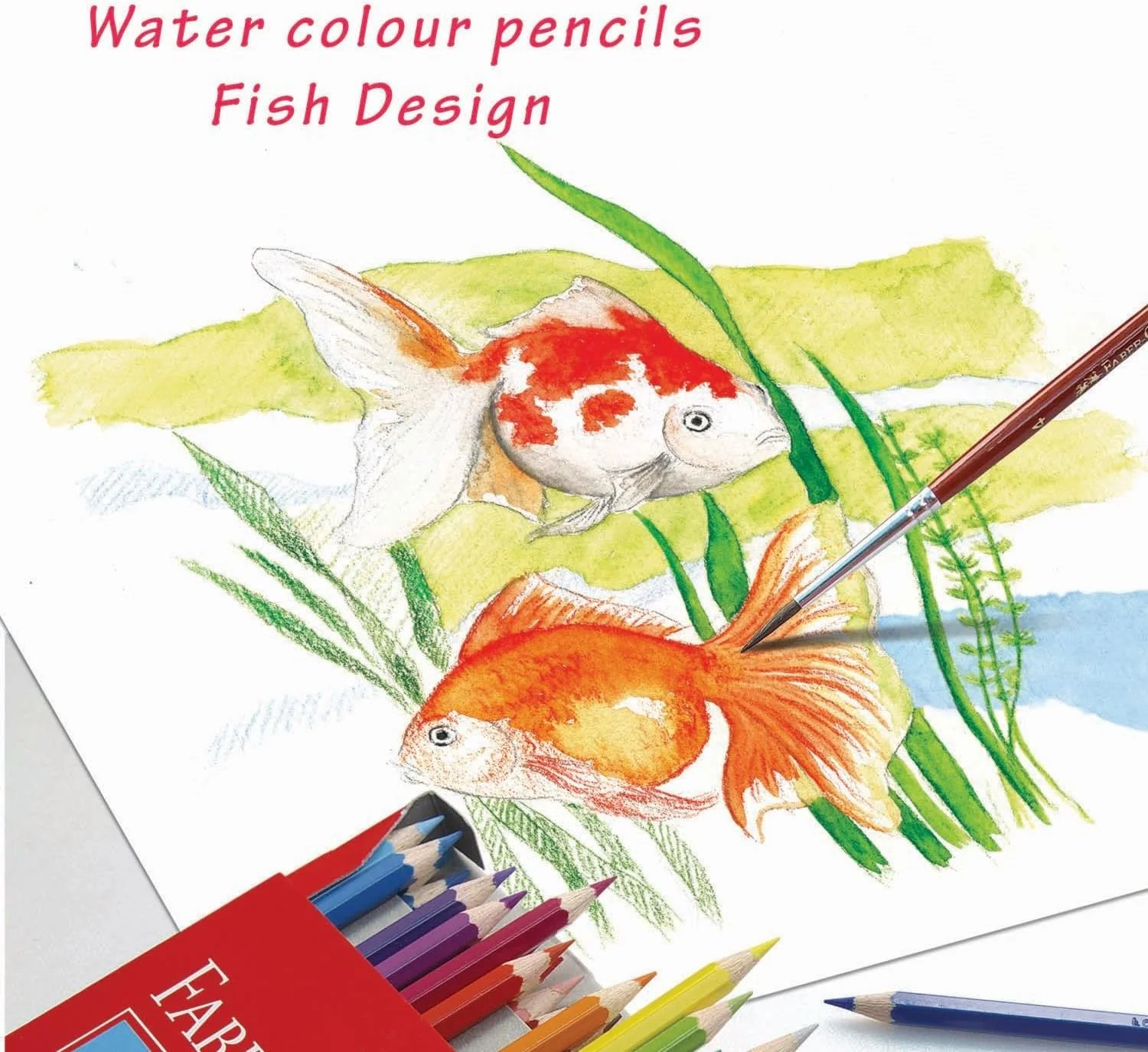 Faber-Castell Watercolour Pencils – 12 Colours | Parrot Design Cardboard Box | EcoPencil - Image 4