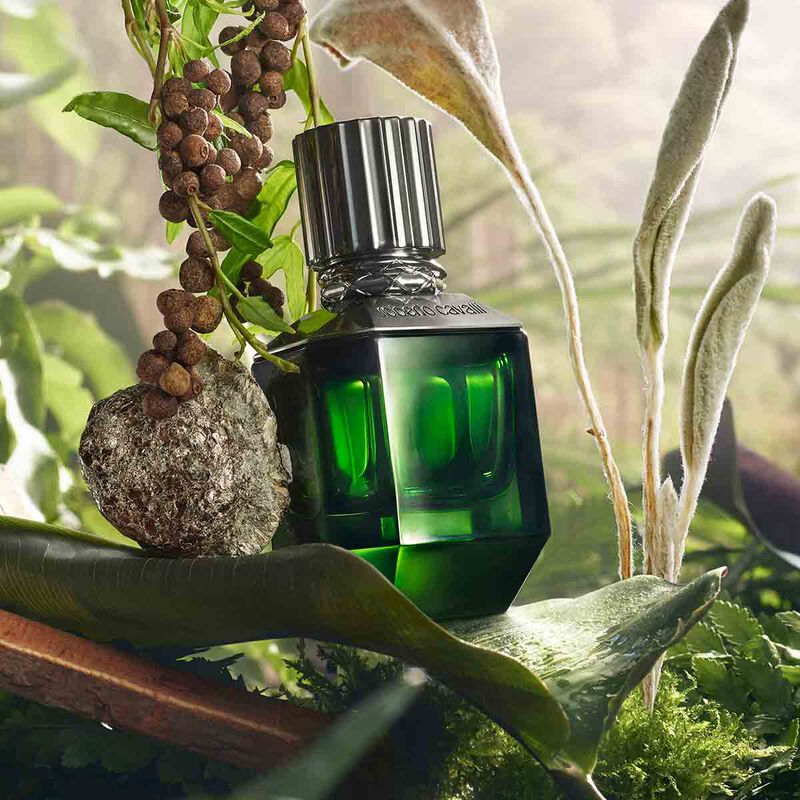 Roberto Cavalli Paradise Found EDT For Men- 75ml - Image 3
