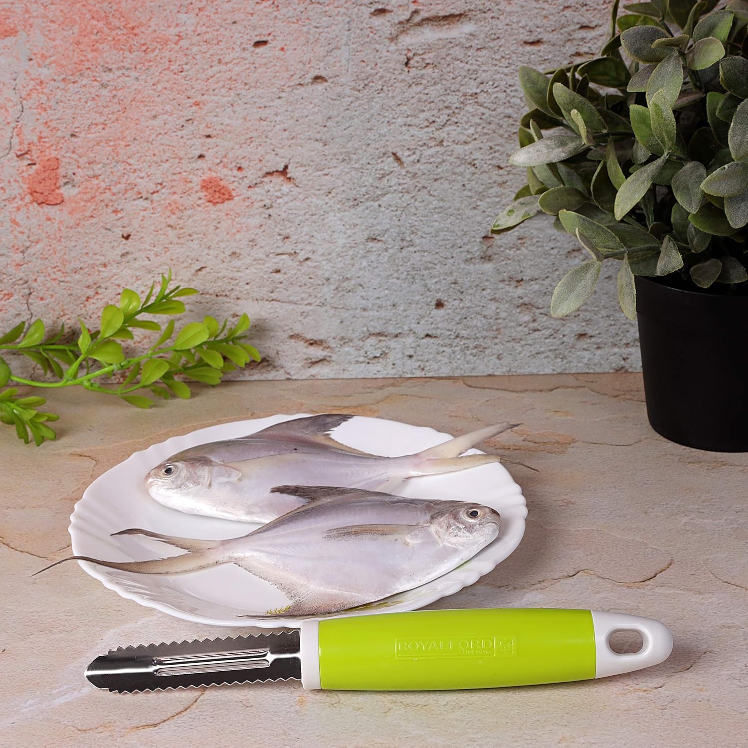 ROYALFORD Fish Peeler, Stainless Steel + ABS, Green- RF6304 - Image 4