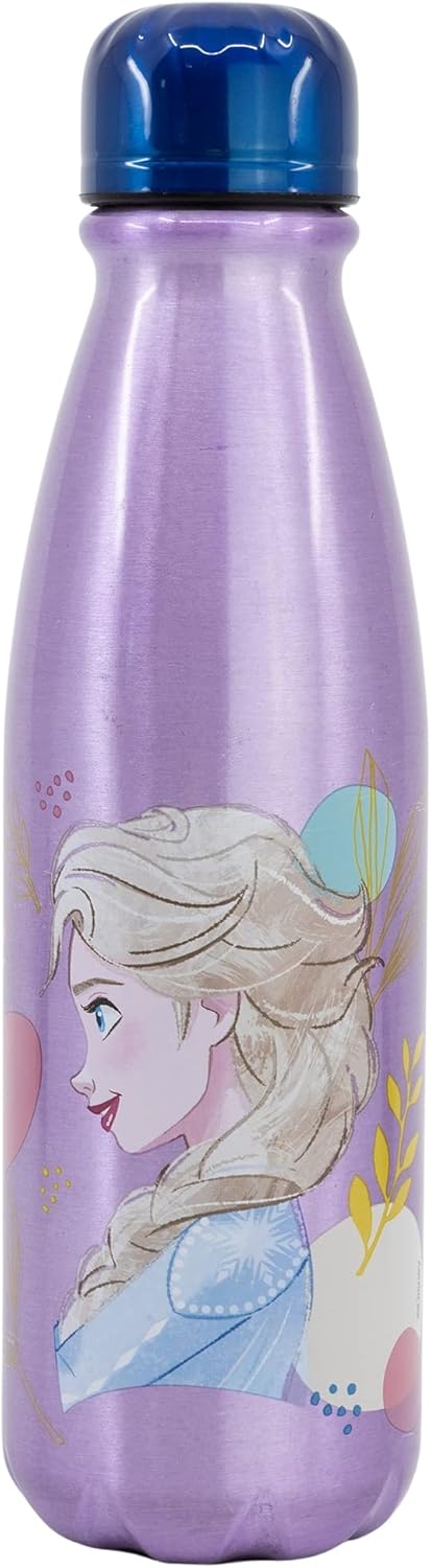 Stor Aluminium Daily Water Bottle 600ml, Disney Frozen Series