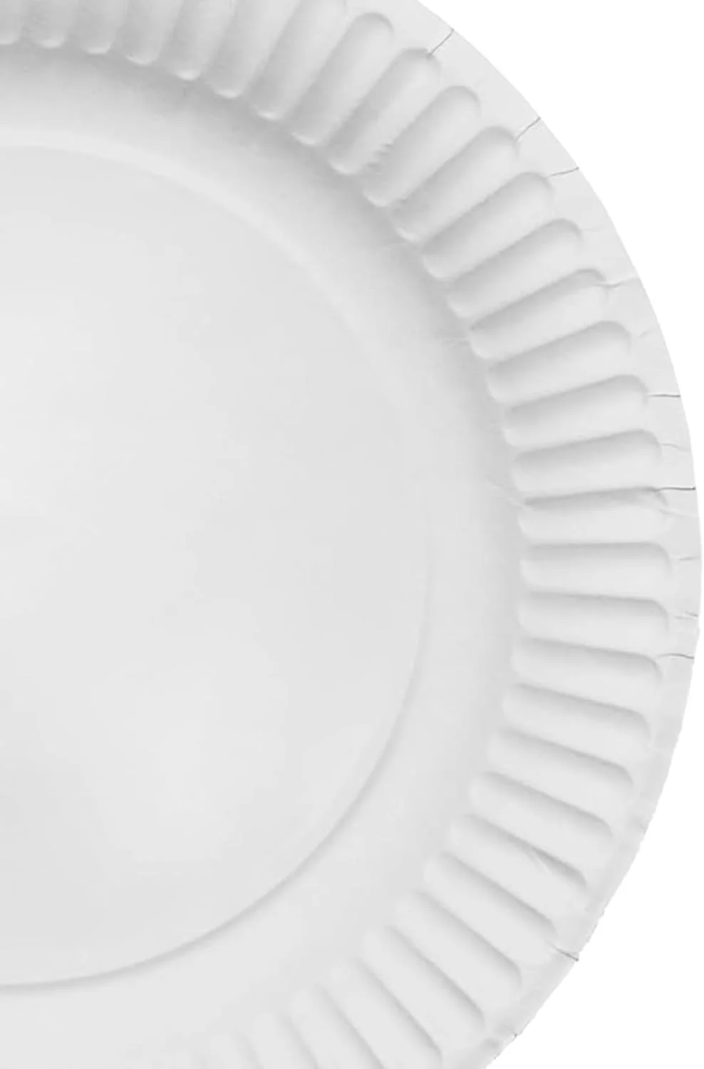 Sunny 100pcs Disposable Paper Plates 9" - Image 4