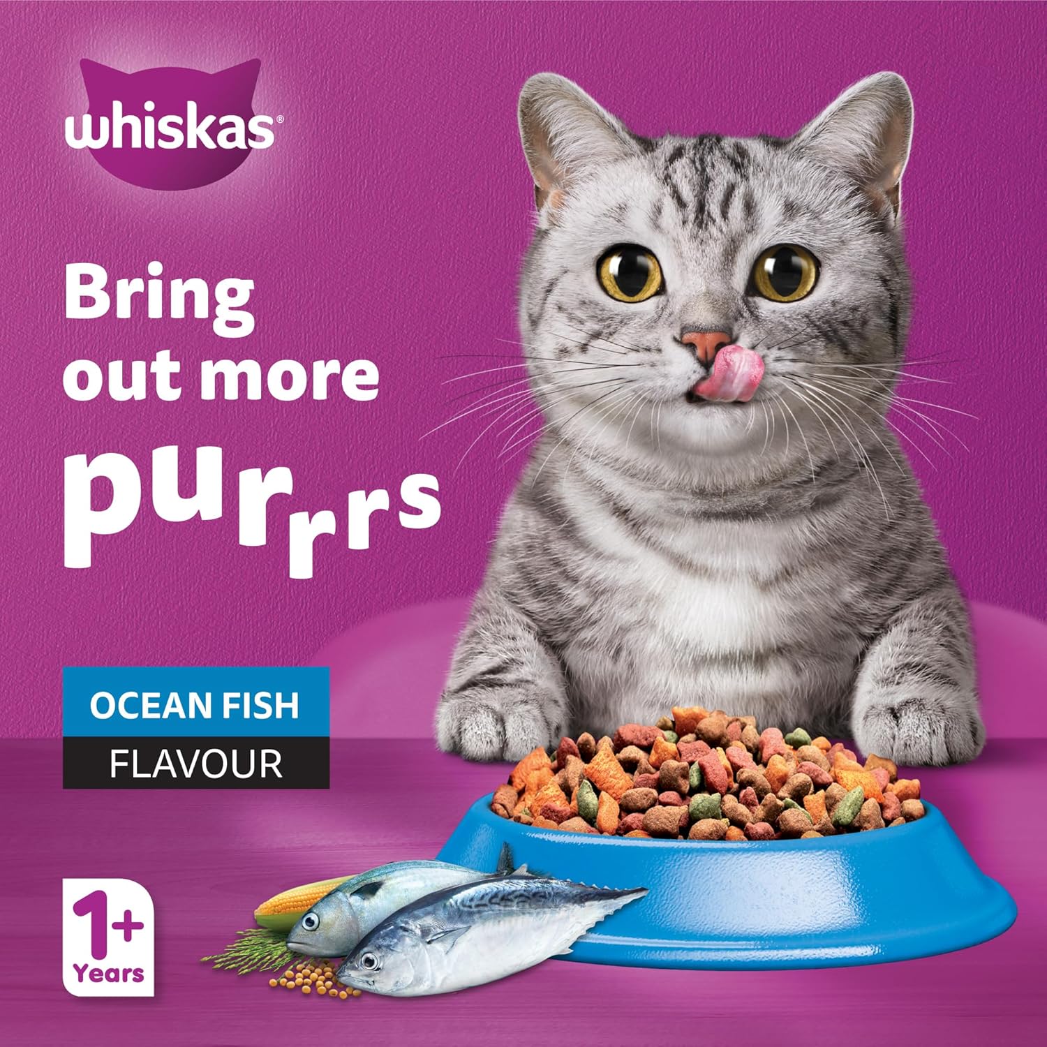 Whiskas Ocean Fish Dry Cat Food, Bag of 480g, for Adult Cats 1+ Years, Complete Nutrition and Great Taste Cat Dry Food