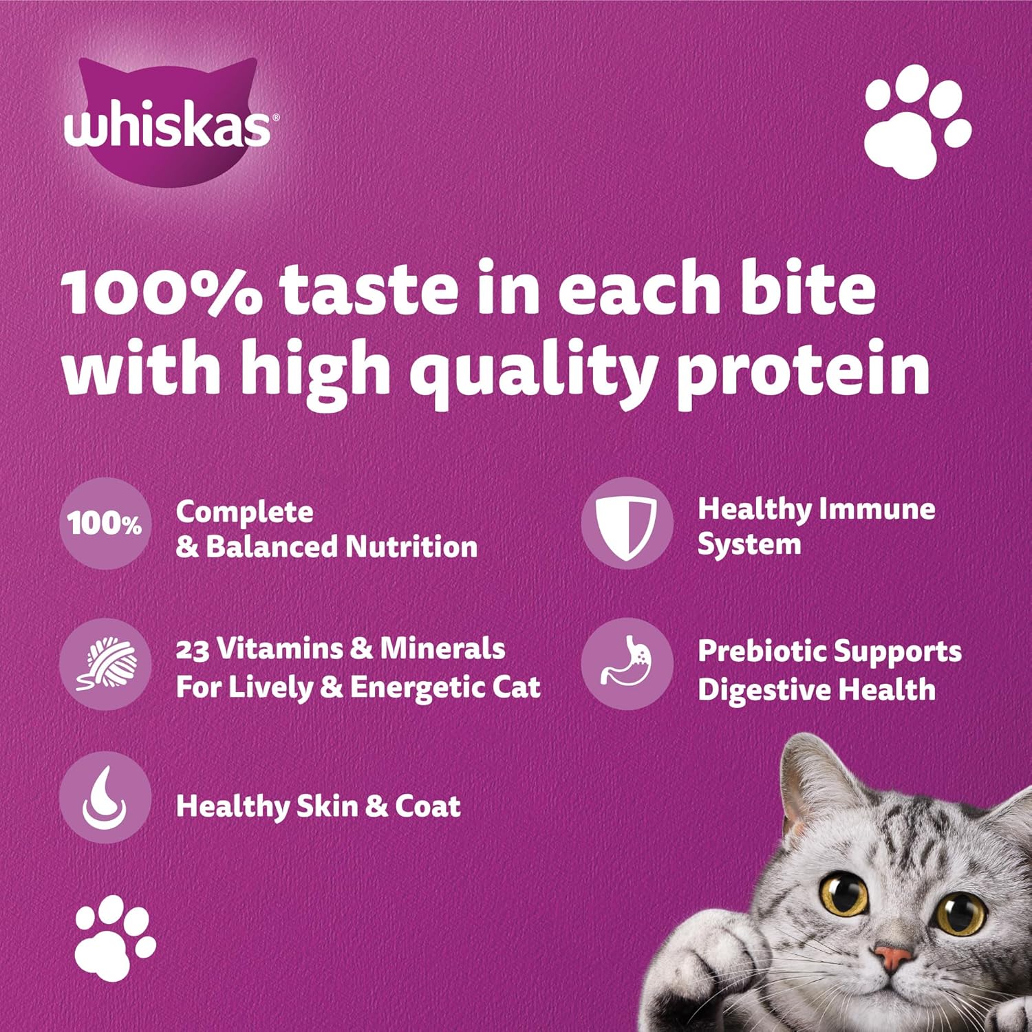 Whiskas Ocean Fish Dry Cat Food, Bag of 480g, for Adult Cats 1+ Years, Complete Nutrition and Great Taste Cat Dry Food - Image 6